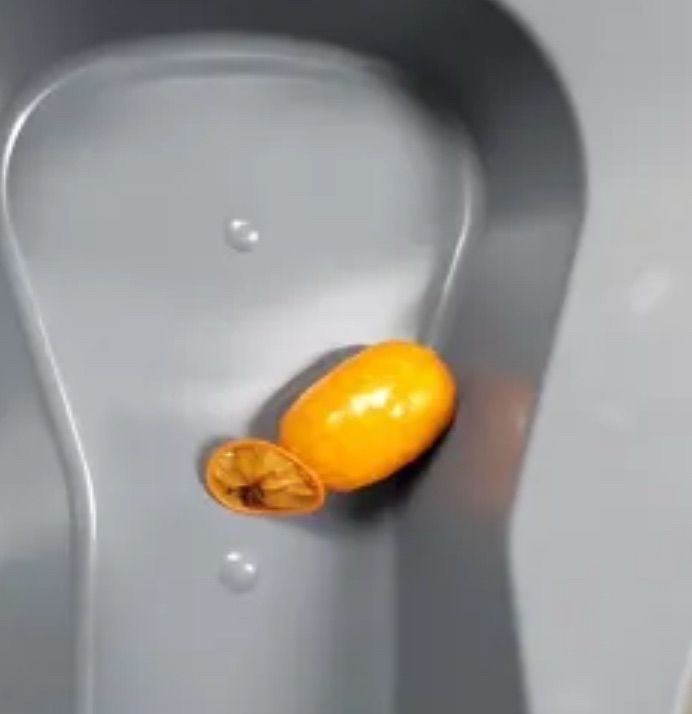 CBP Makes Methamphetamine and Fentanyl Trafficking Arrest