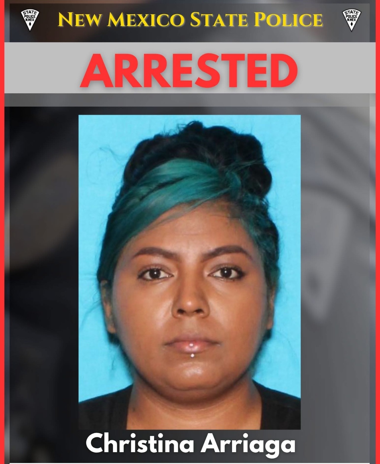 New Mexico State Police Charges Woman with Vehicular Homicide