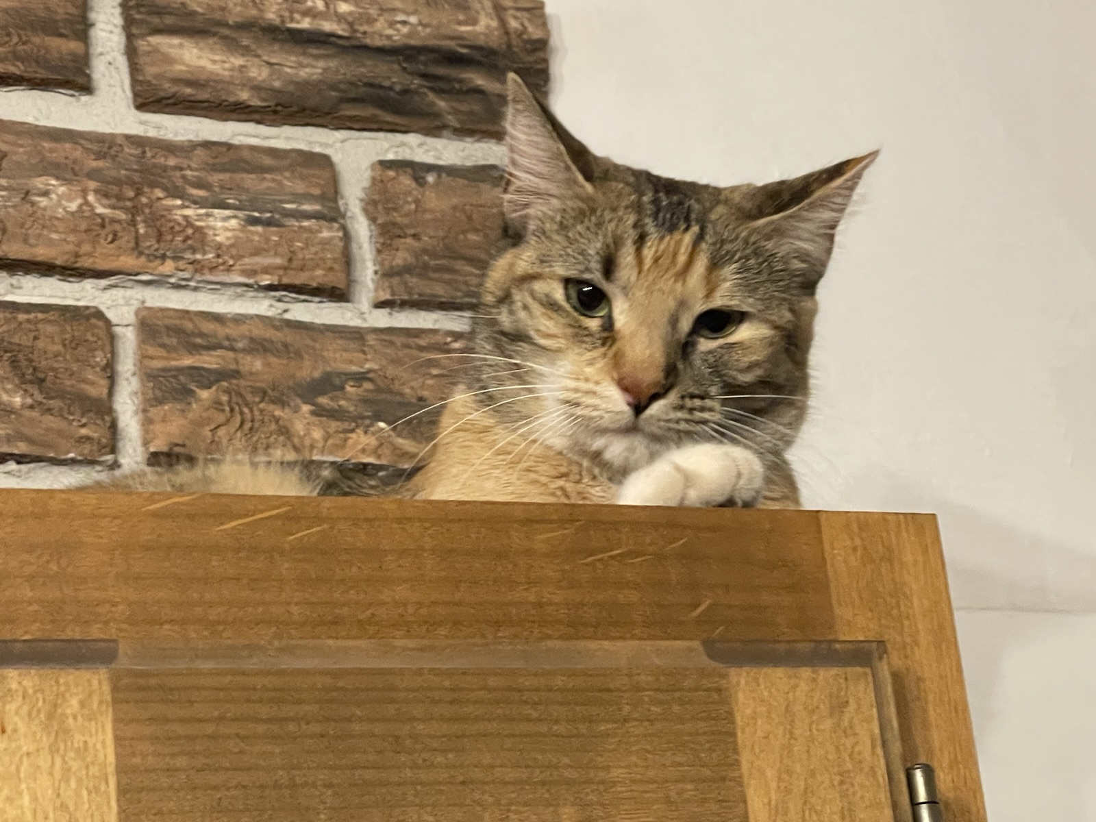 SB 57 Funds Finally Flow Despite Legal Challenges