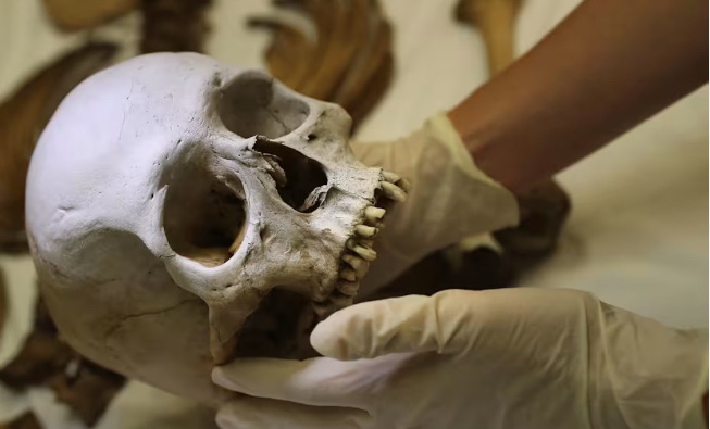 Two Teens Shot and Skeleton Head Found in Otero County