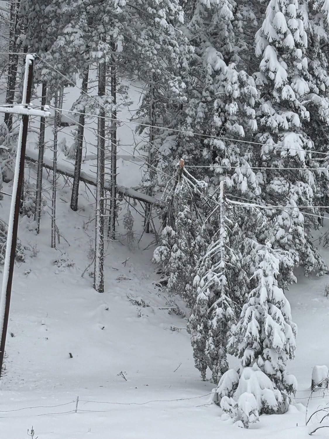 Winter Storm Batters Southern New Mexico Mountains: Thousands Still Without Power as Restoration Efforts Continue