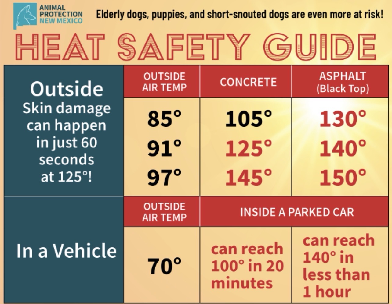 APNM Issues Urgent Pet Heat Safety Warnings as New Mexico Temps Head for the 90s – Local Alamogordo Resources Available for Help