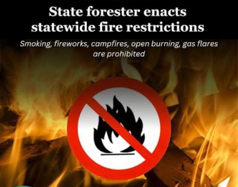 Statewide Fire Restrictions Enacted Across New Mexico Amid High Wildfire Risk