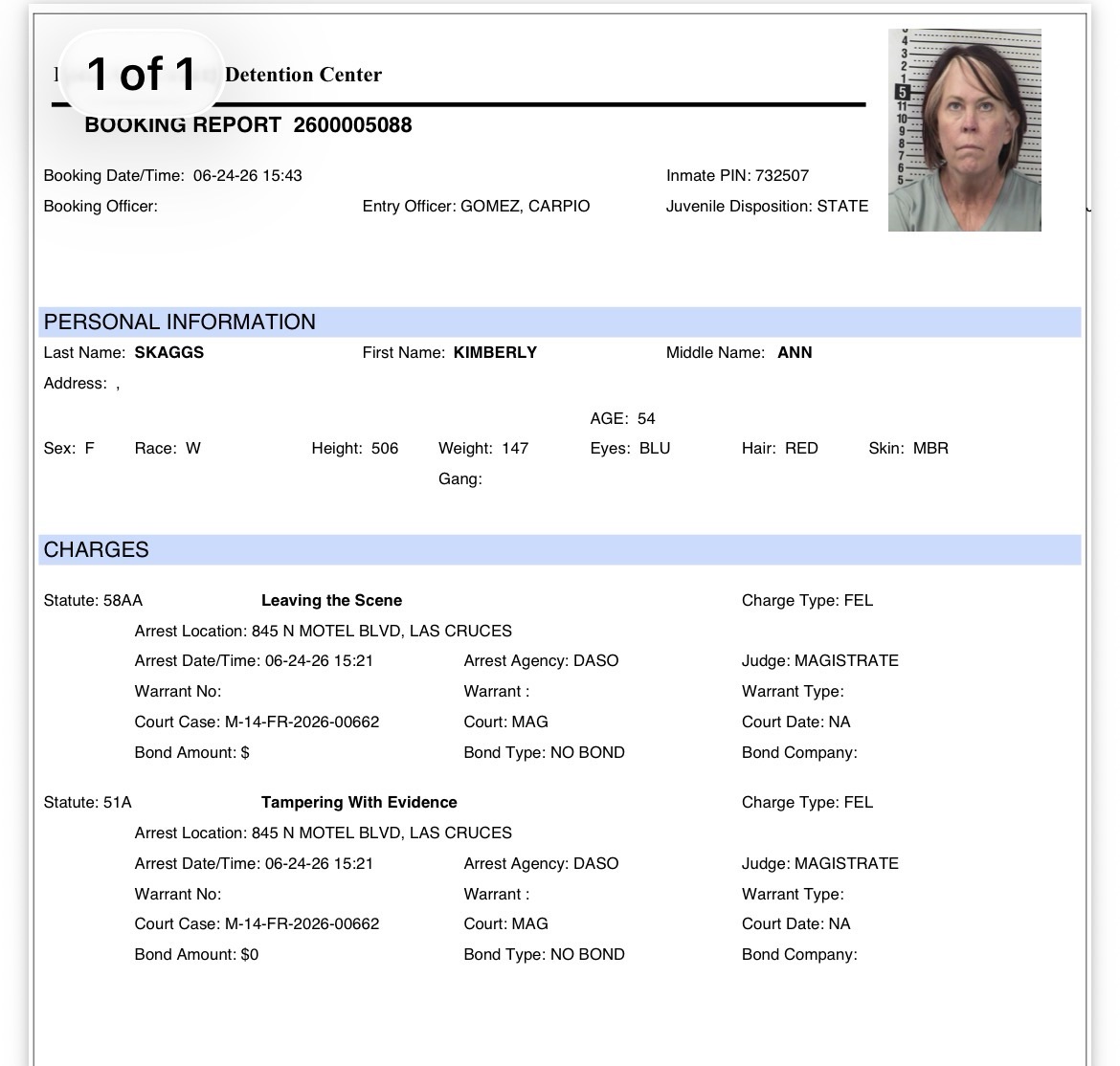 New Mexico GOP Treasurer Kimberly Skaggs Arrested on Felony Charges in Las Cruces
